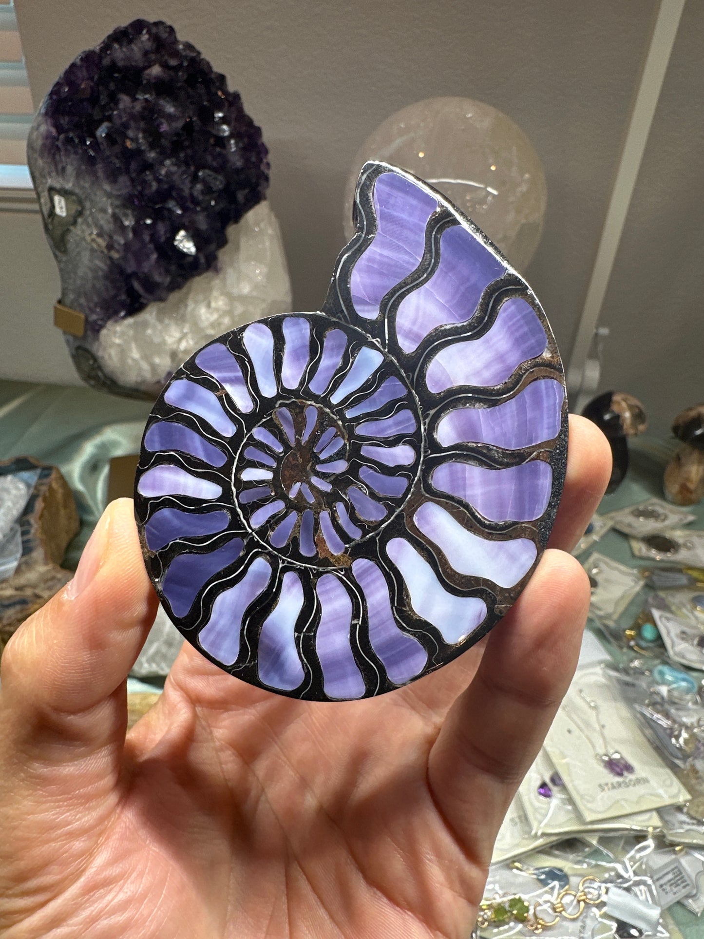 Tiffany Stone inlay in ammonite