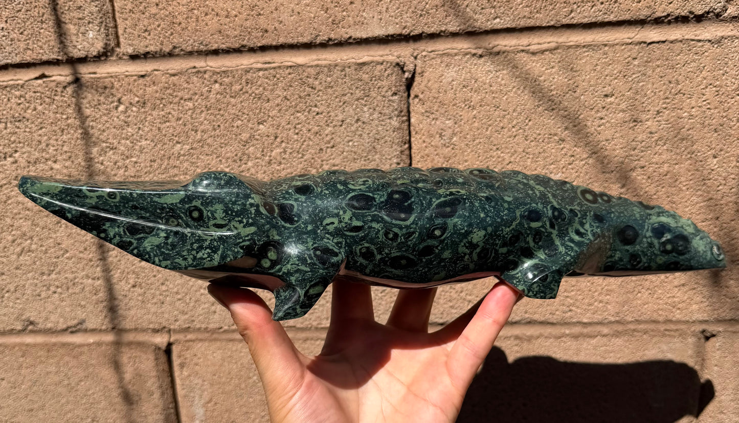 Kambaba Jasper Crocodile