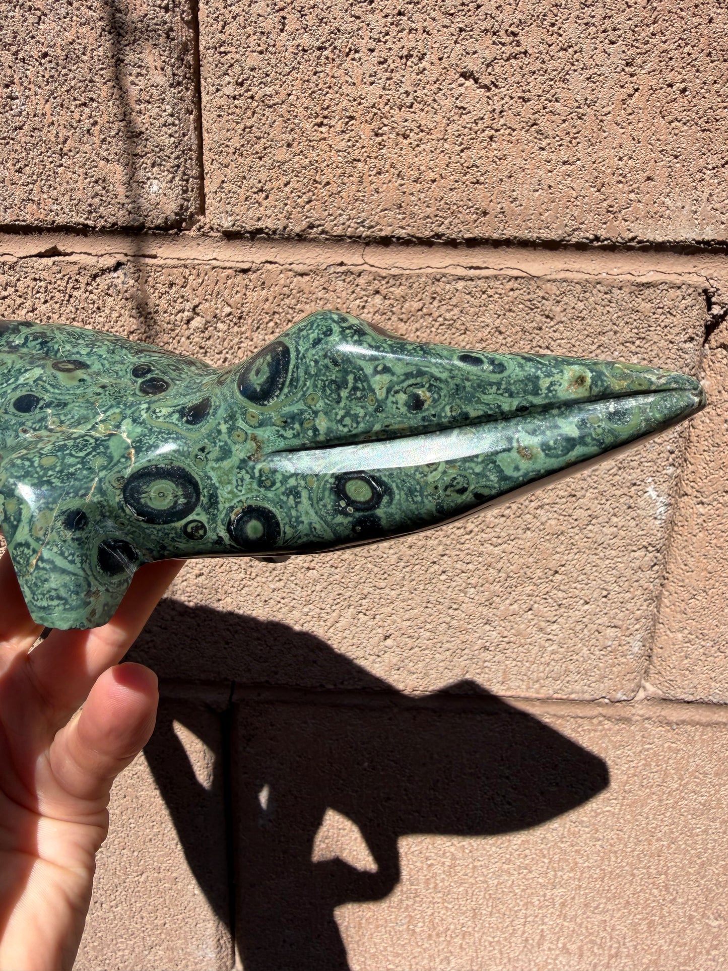 Mr. Pinky Moretti - Kambaba Jasper Crocodile