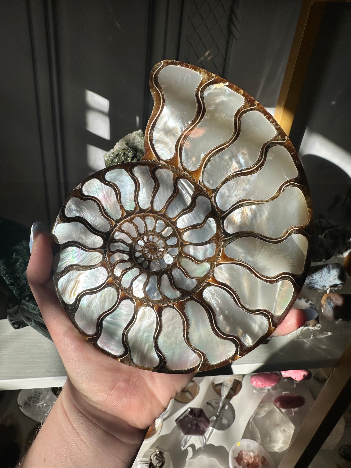 Mother of Pearl Inlaid in Ammonite