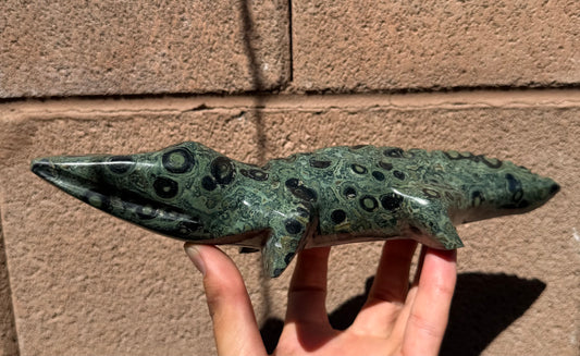 Mr. Pinky Moretti - Kambaba Jasper Crocodile