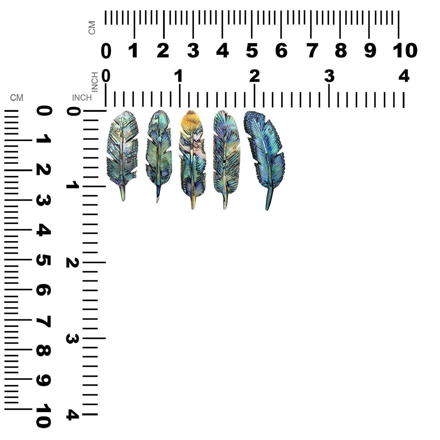 Starborn Hand Carved Abalone Shell Feathers 30-35 mm