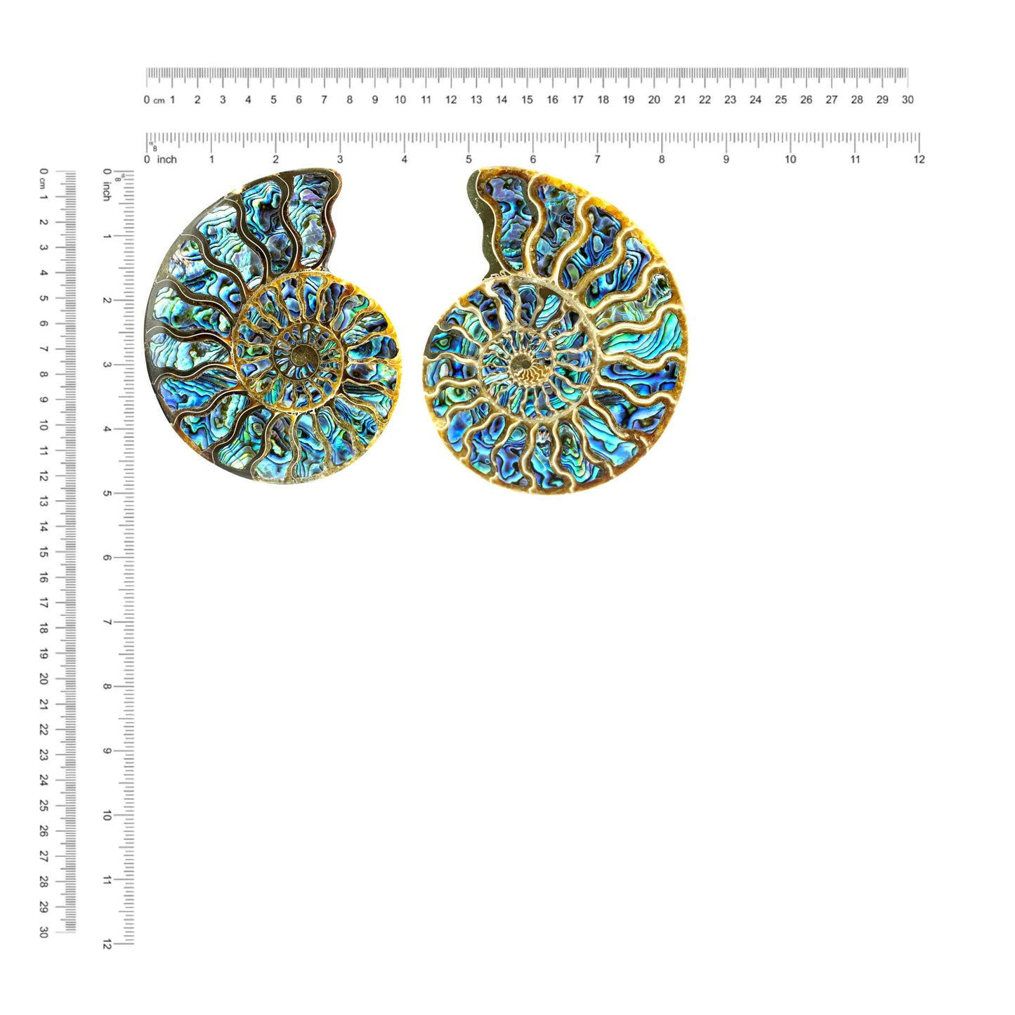Starborn Ammonite Half with Abalone Shell Inlay 12-13cm Display Stone - 1 piece