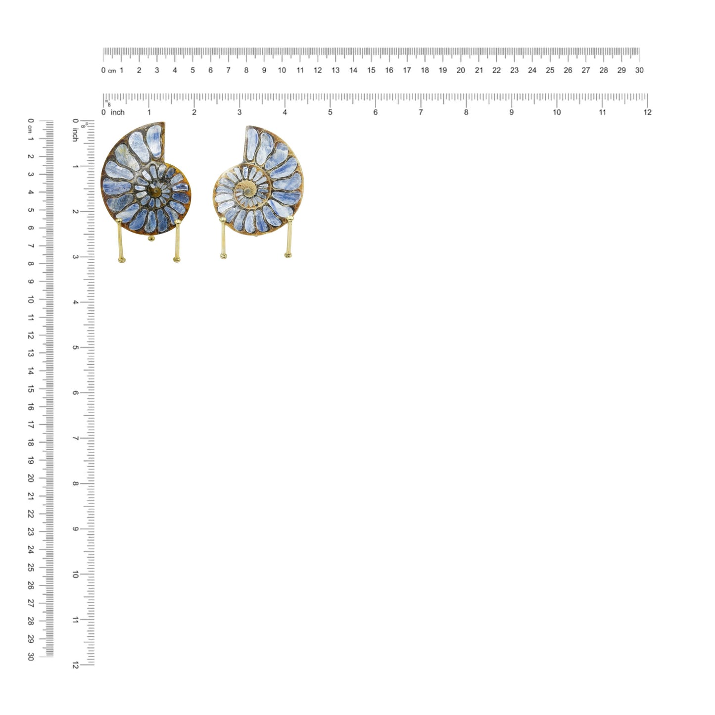 Starborn Ammonite with Kyanite Inlay Display Stone - 1 Piece