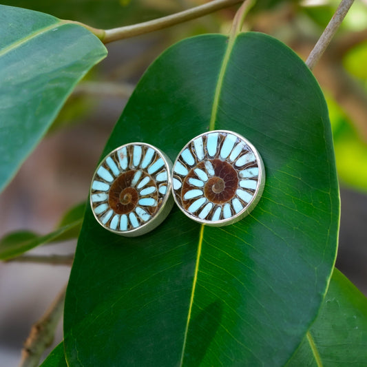 Starborn Ammonite with Sleeping Beauty Turquoise Inlay Post Earrings in Sterling Silver