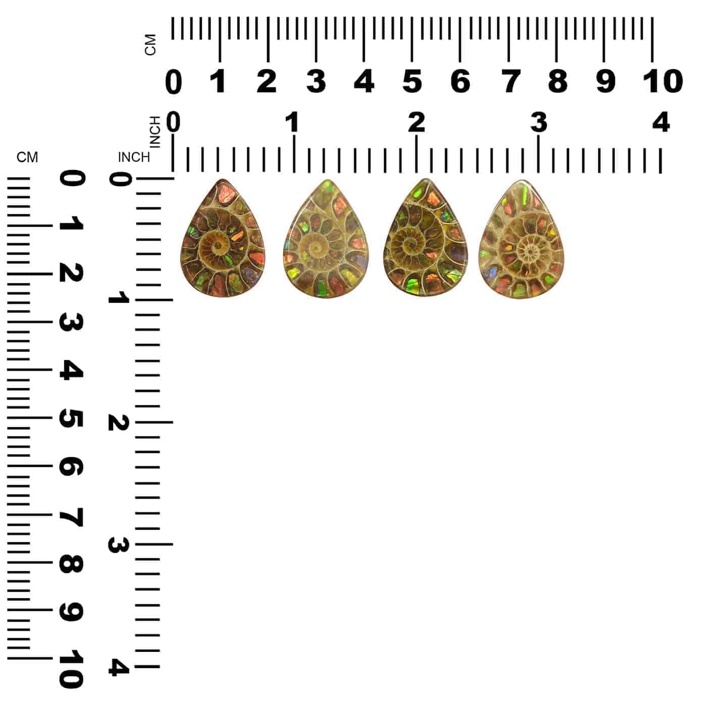 Starborn Ammonite with Ammolite Inlay Cabochon (25mmx18mm) - 1 Piece