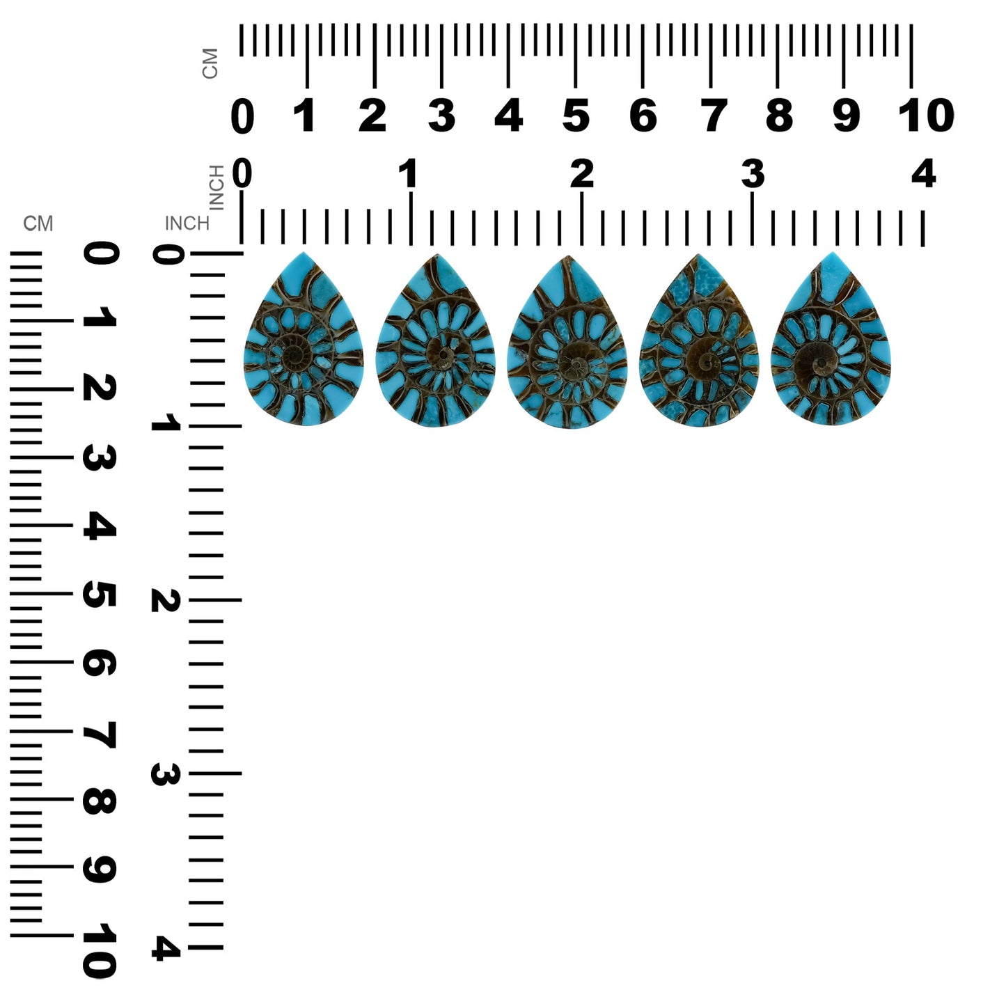 Starborn Ammonite with Turquoise Inlay Pear Cabochon 18 x 25 mm - 1 Piece