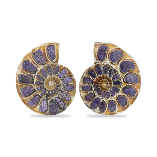 Starborn Ammonite Half with Purpurite Inlay Cabochon 21 - 25 mm, 1 Pair