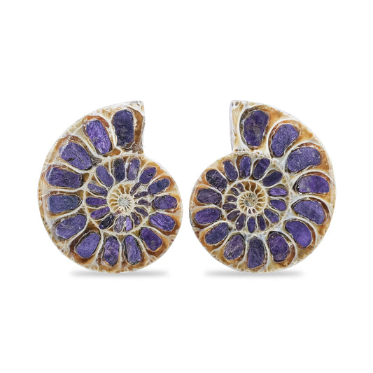 Starborn Ammonite Half with Purpurite Inlay Cabochon 25 - 28 mm, 1 Pair
