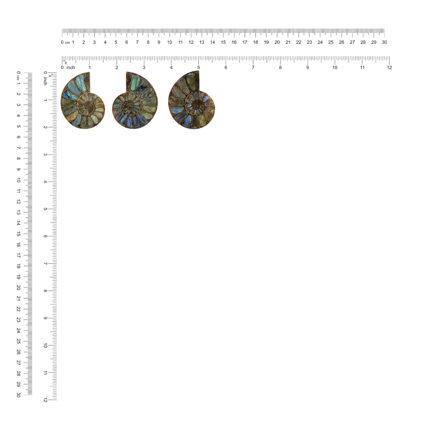 Starborn Half Ammonite with Labradorite Inlay Cabochon 52 - 55 mm, 1 Piece