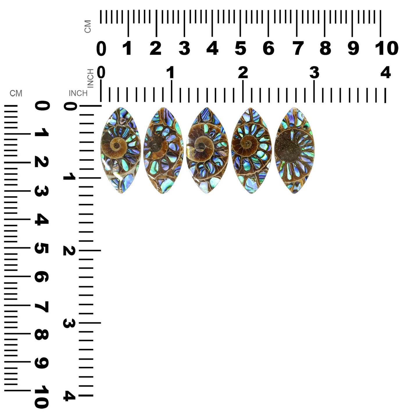 Starborn Ammonite with Abalone Shell Inlay 31 x 15 mm Marquise Cabochon - 1 Piece