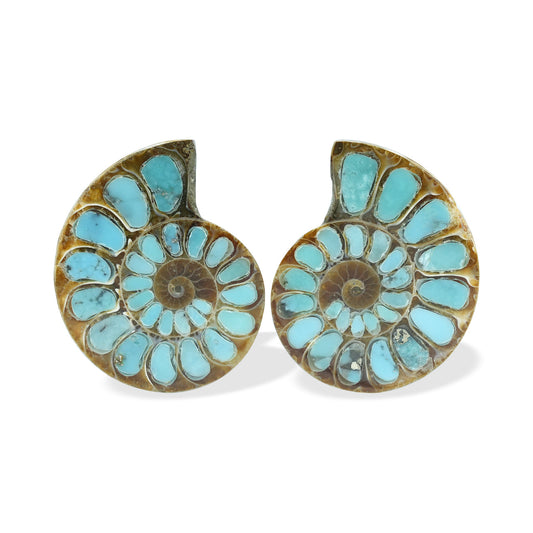 Starborn Ammonite with Turquoise Inlay Cabochons 28 - 30 mm, 1 Pair