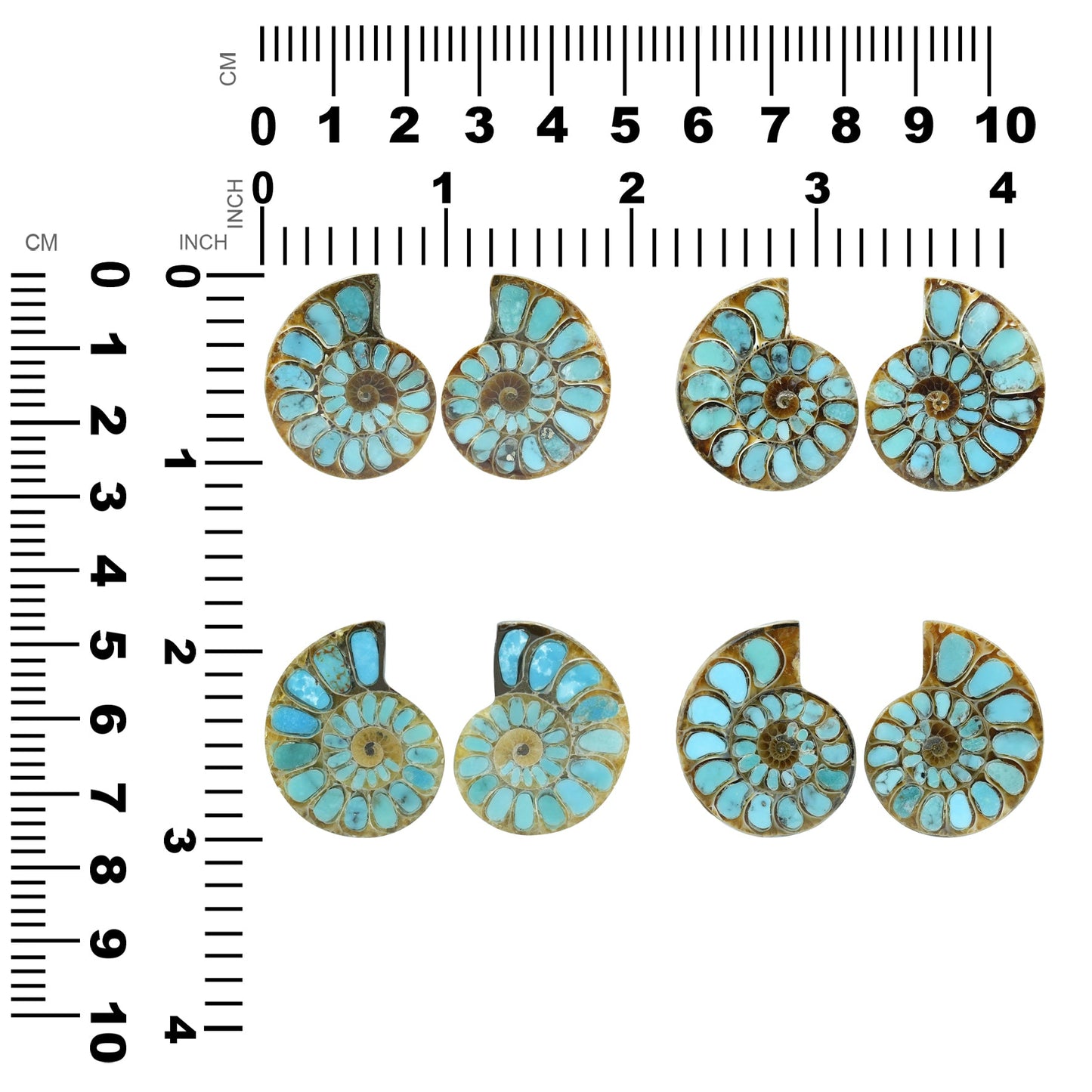 Starborn Ammonite with Turquoise Inlay Cabochons 28 - 30 mm, 1 Pair
