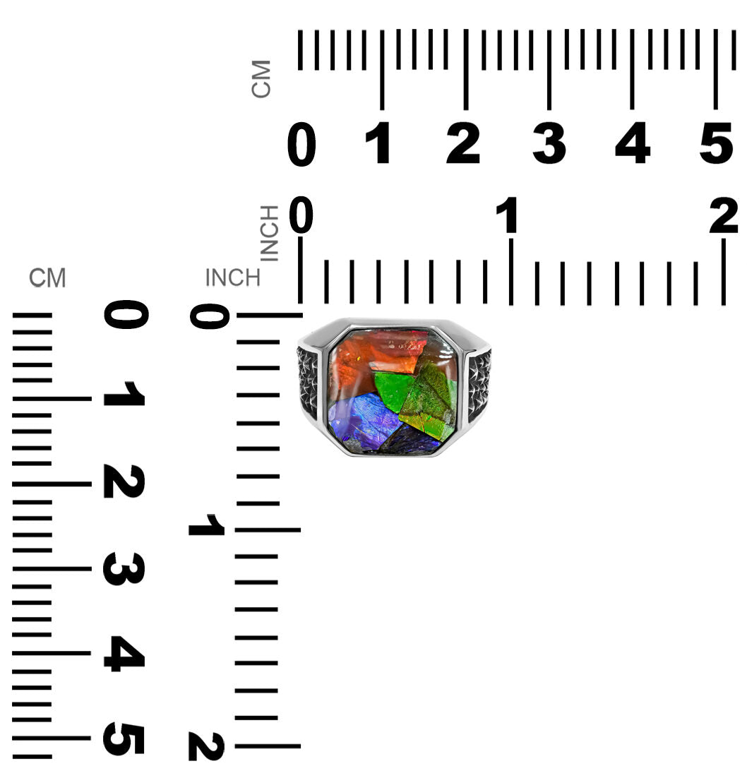 Starborn Ammolite Inlay Octagon Signet Men's Ring in Sterling Silver