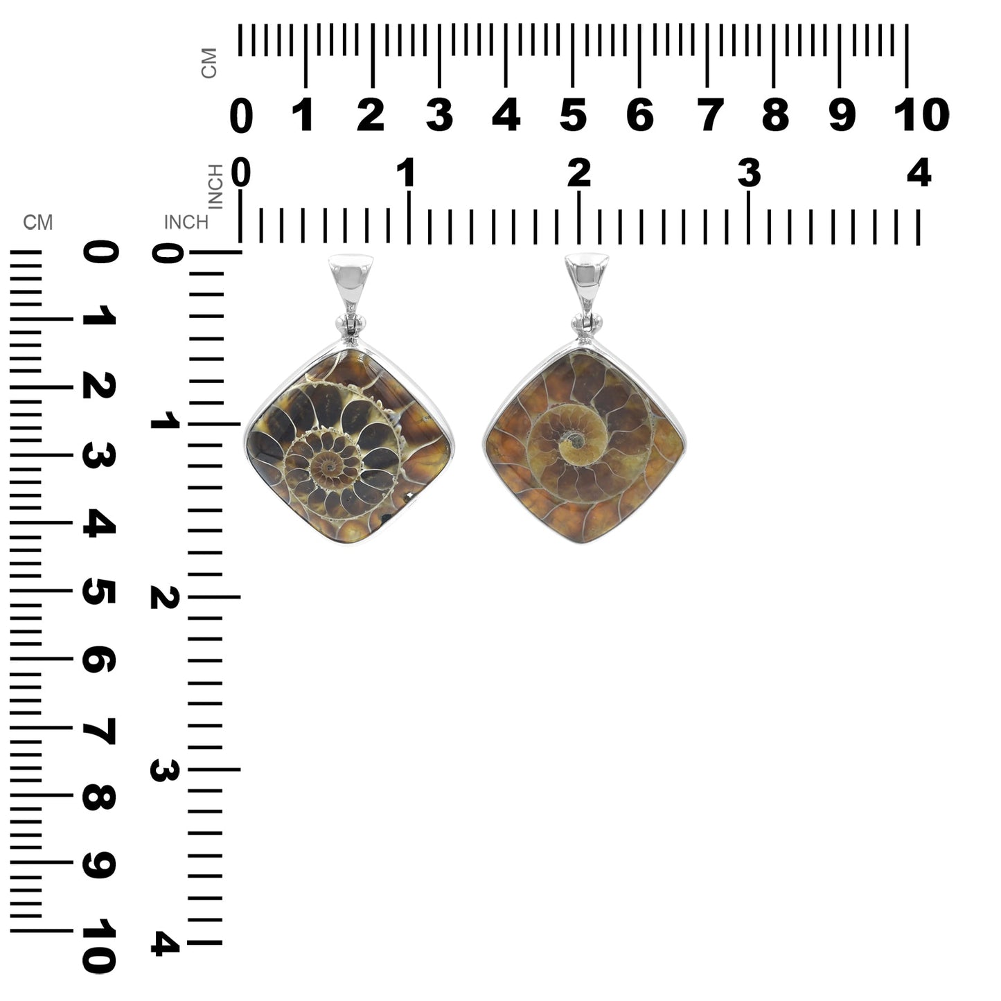 Starborn Fossilized Ammonite Square Pendant in Sterling Silver