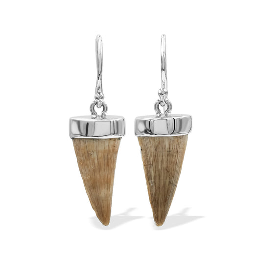 Starborn Fossil Mosasaurus Tooth Earrings in Sterling Silver