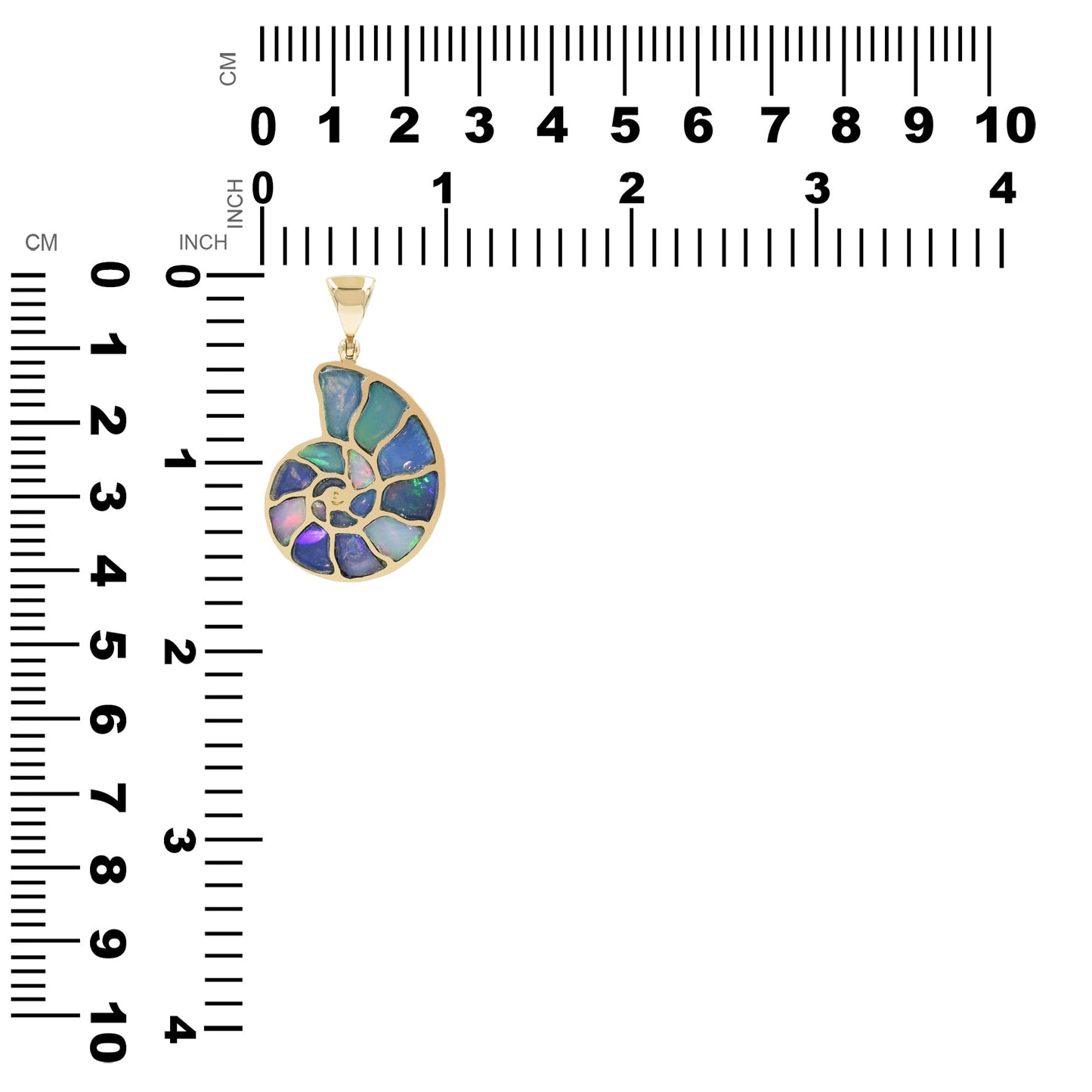 Starborn Ethiopian Opal Inlay Nautilus Ammonite Pendant in Sterling Silver