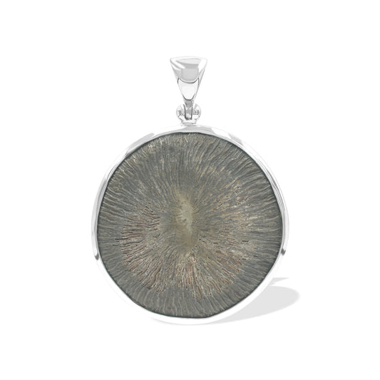 Starborn Cyclolite Fossil Coral Pendant in Sterling Silver
