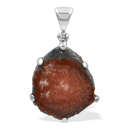 Starborn Utah Fossil Red Horn Coral Prong Setting Pendant in Sterling Silver