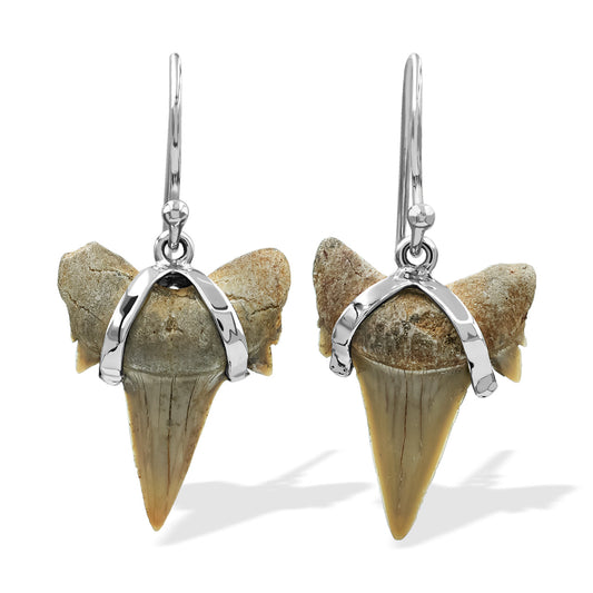 Starborn Light Fossil Shark Tooth Wire Wrap Dangle Earrings in Sterling Silver