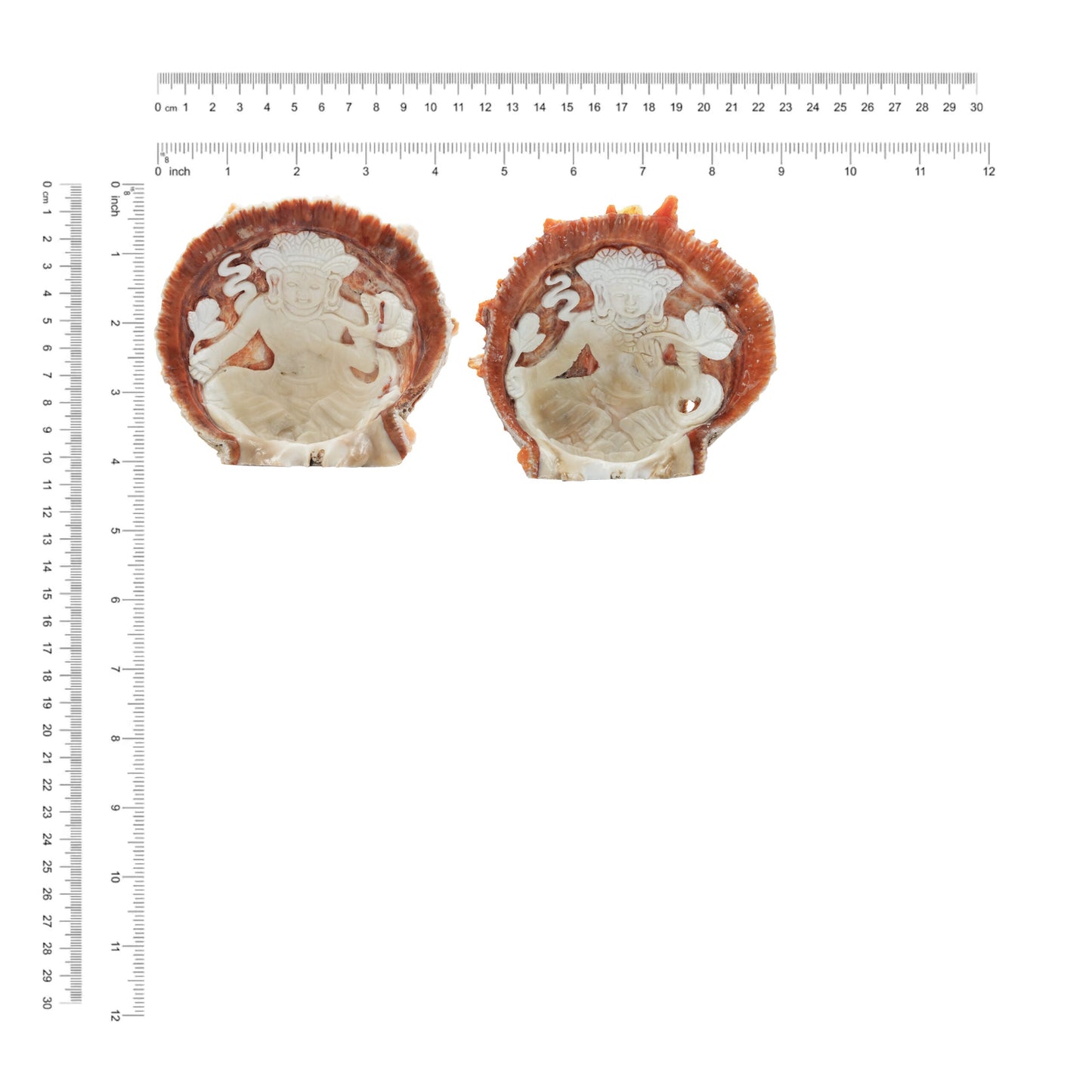 Starborn Hand Carved Spiney Oyster Shell Tara Goddess - 1 Piece