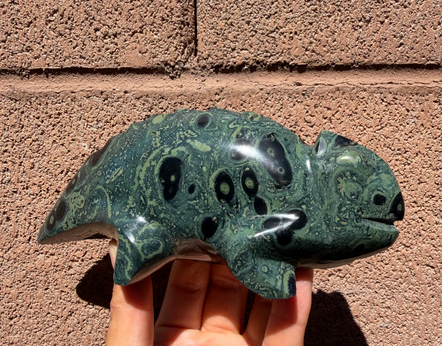 Baby Kambaba Jasper Chameleon