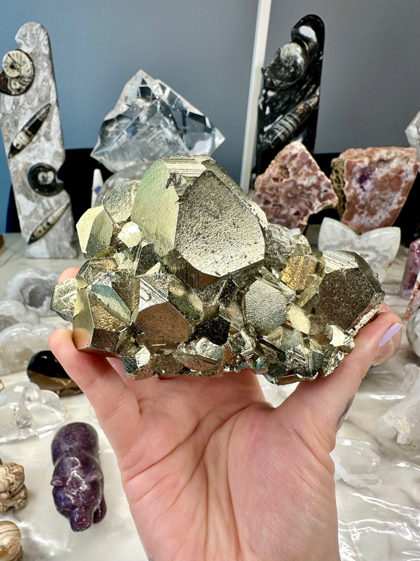 Exceptional Collector Pyrite