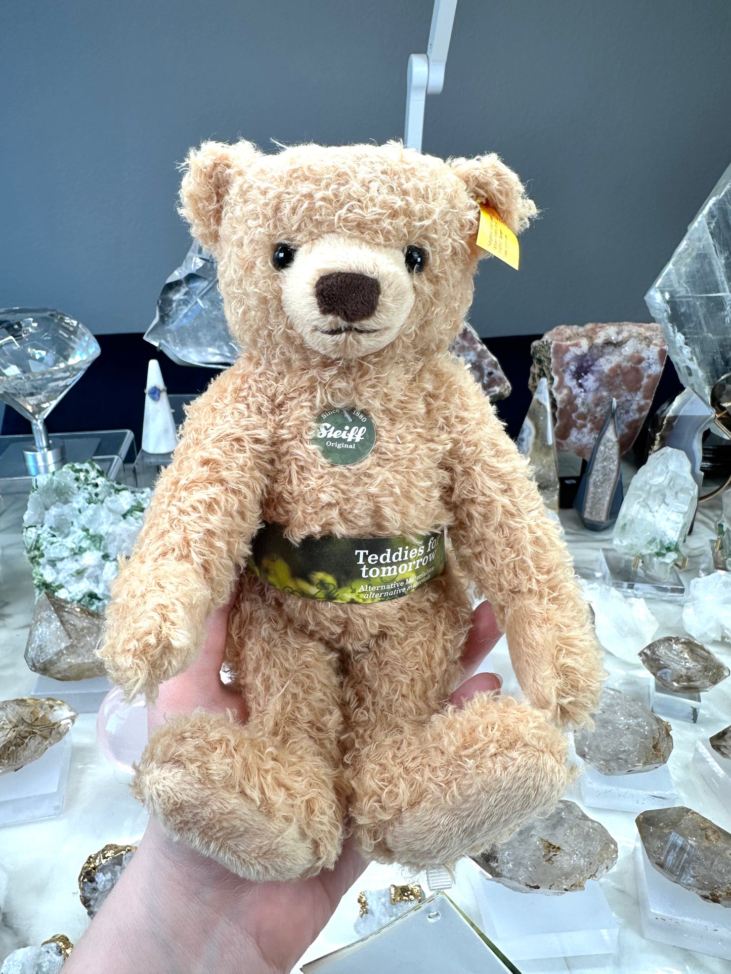 Max Teddy