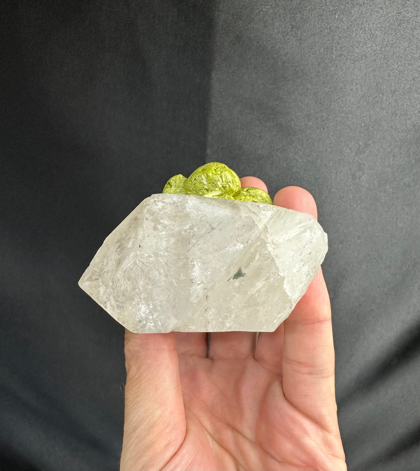 Nontronite Frog on Quartz | France