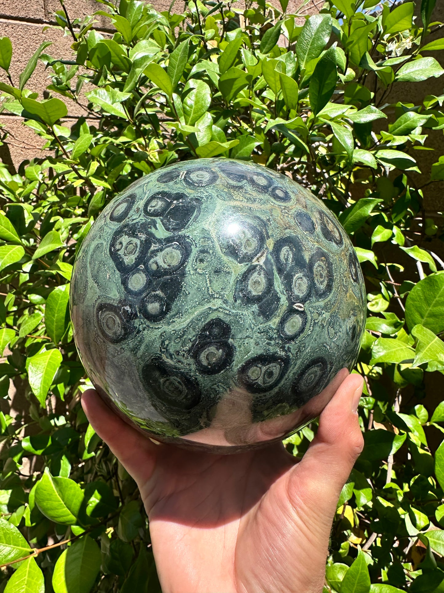 Kambaba Jasper Sphere