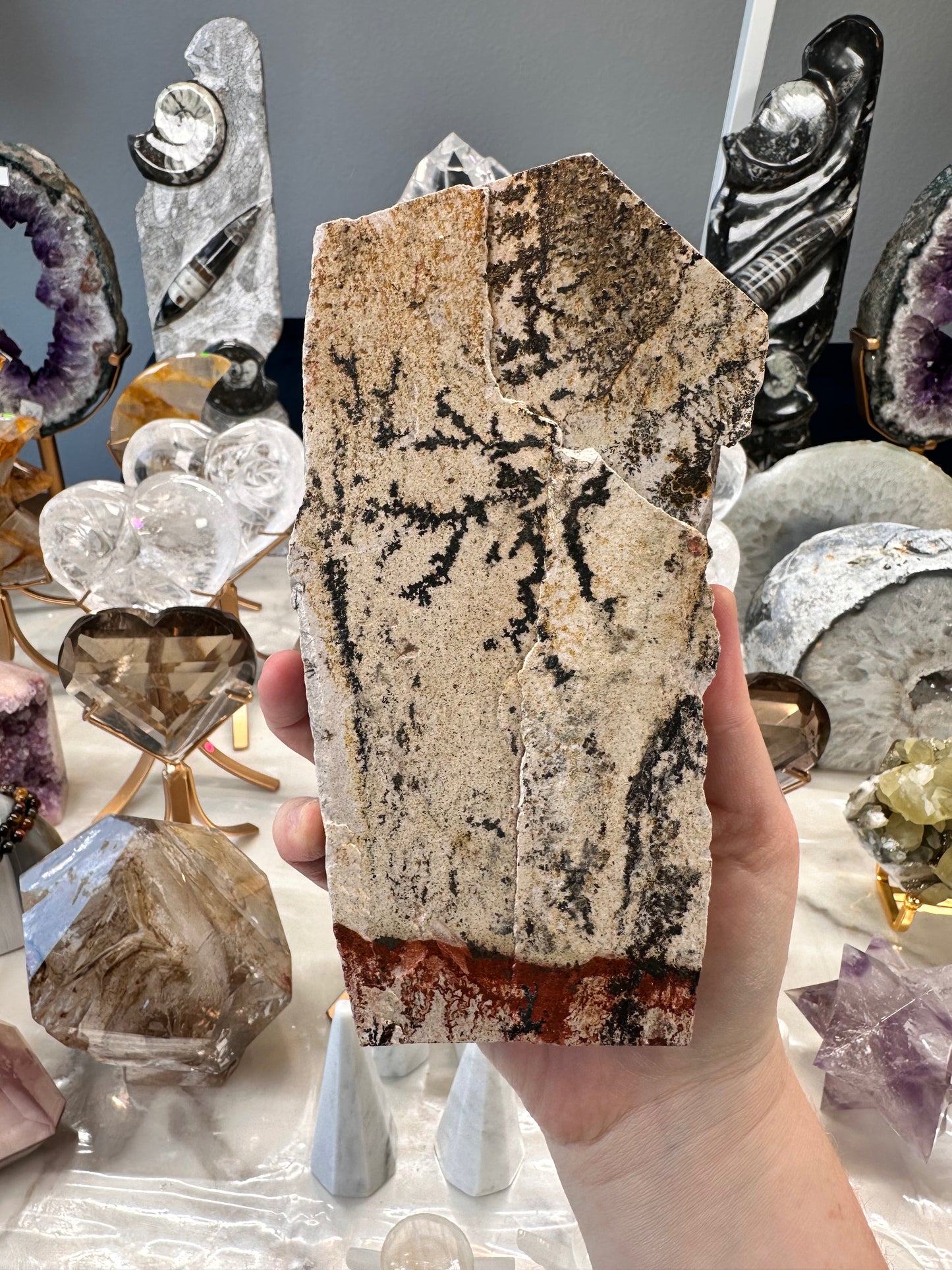 Dendritic Limestone