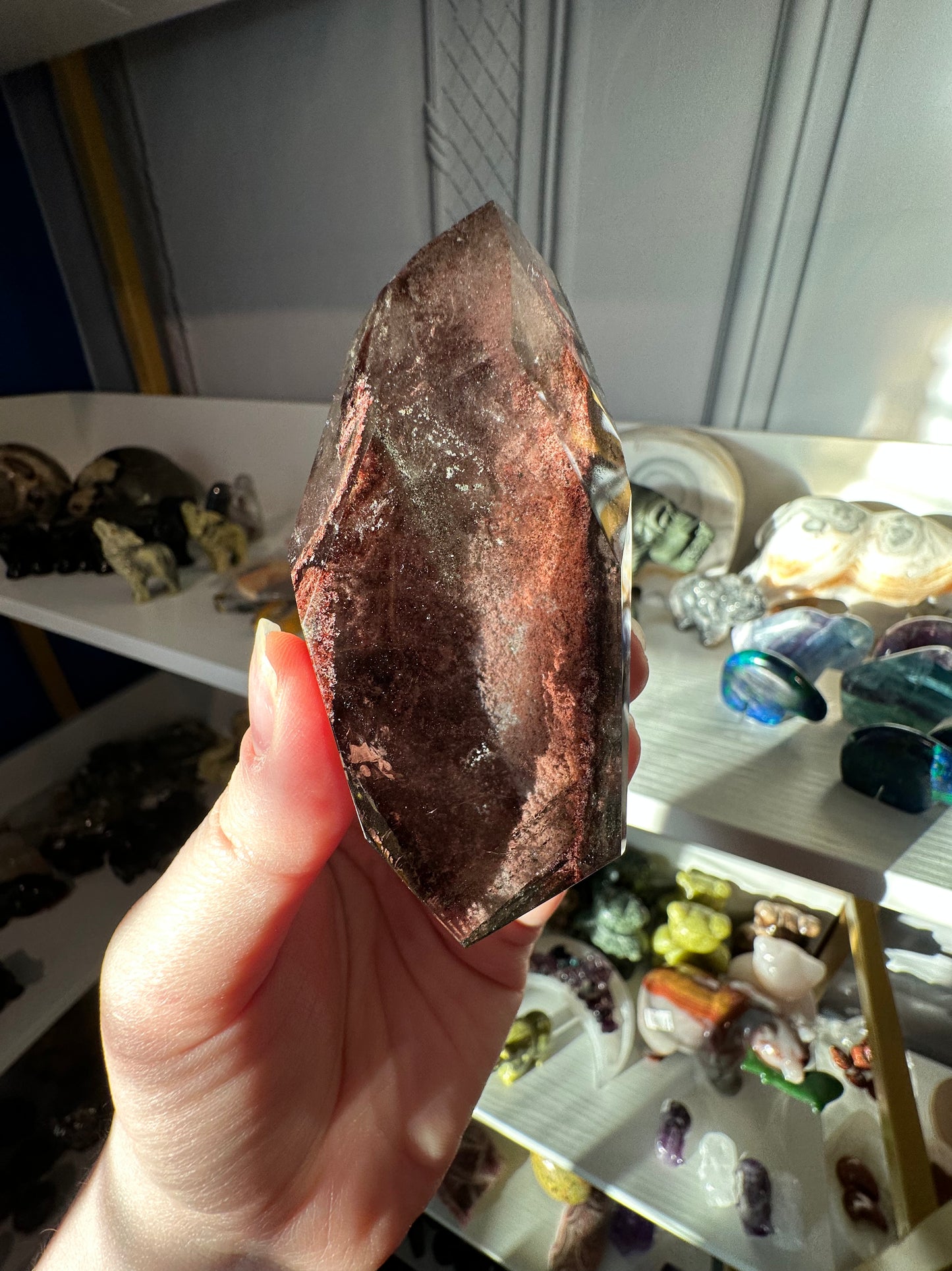 Lodolite/Garden Quartz