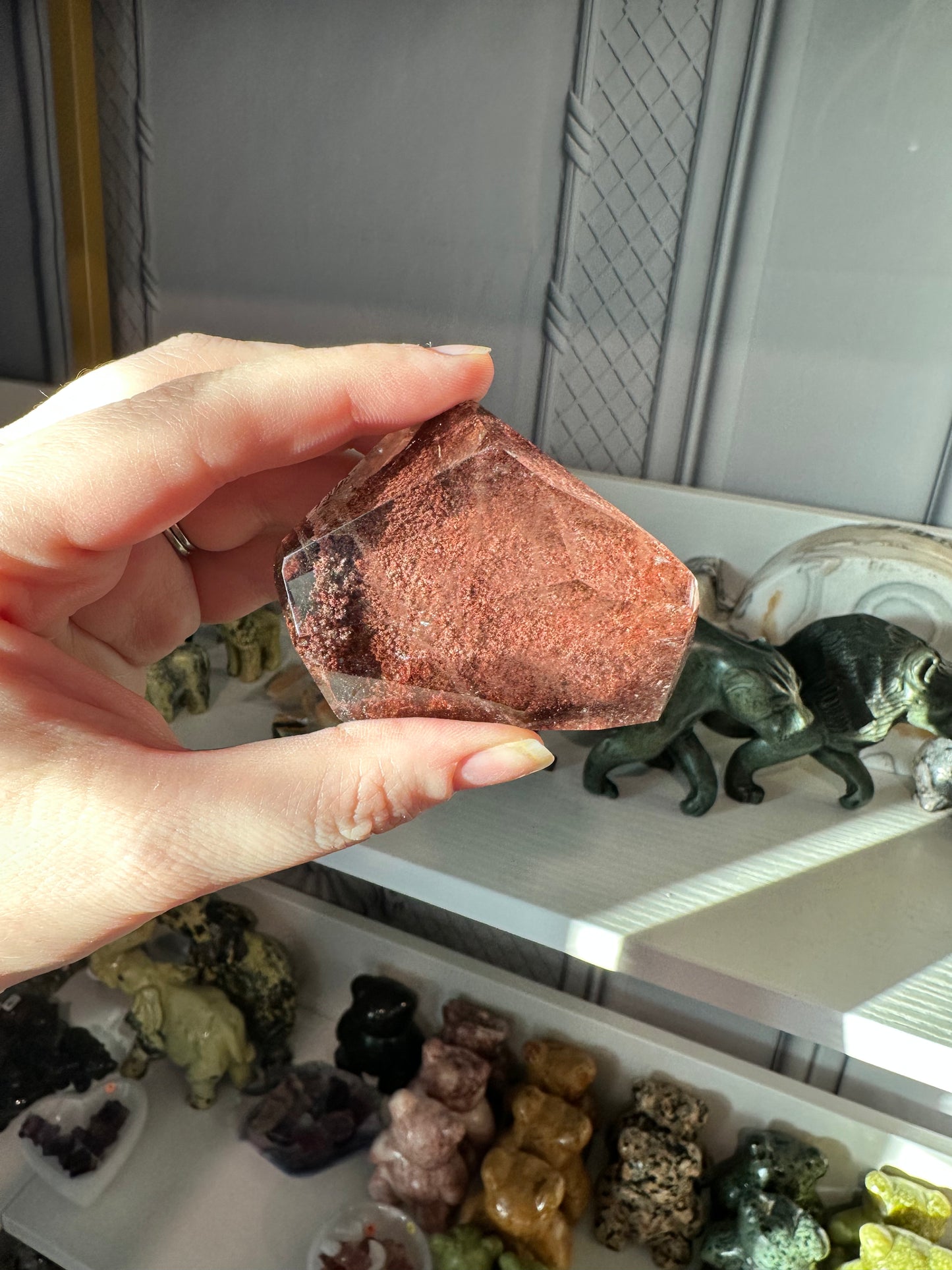 Lodolite/Garden Quartz