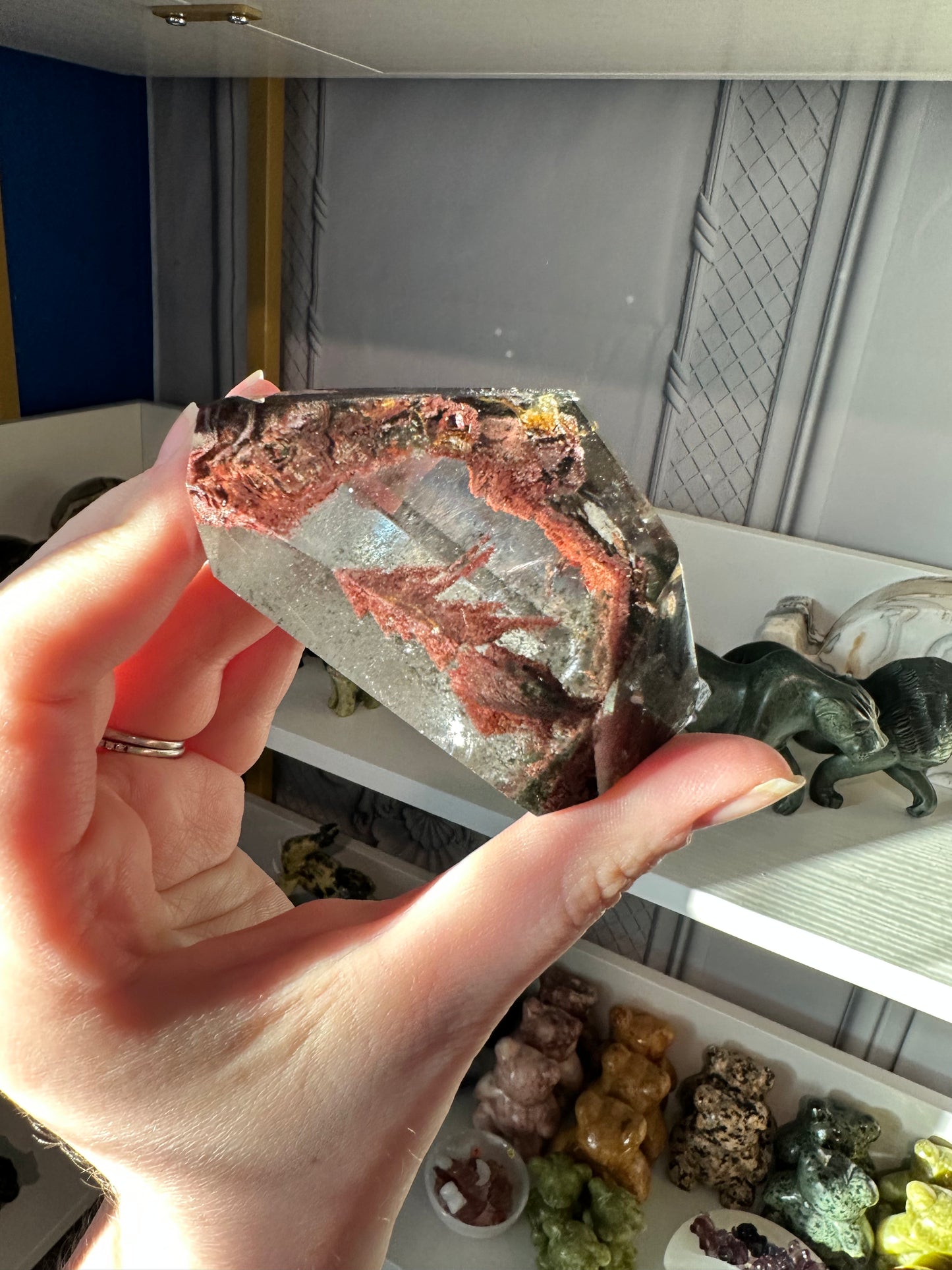 Lodolite/Garden Quartz