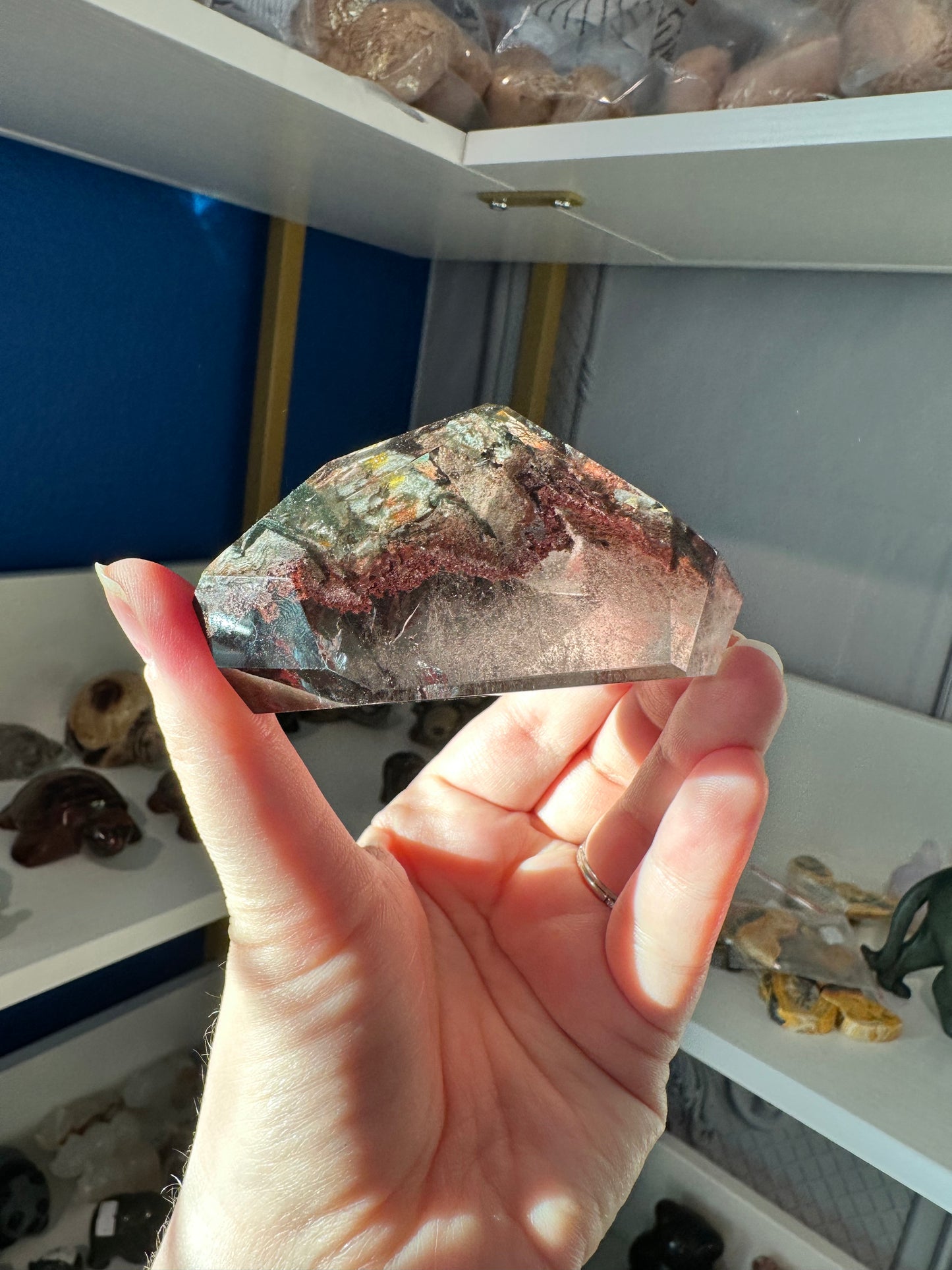 Lodolite/Garden Quartz