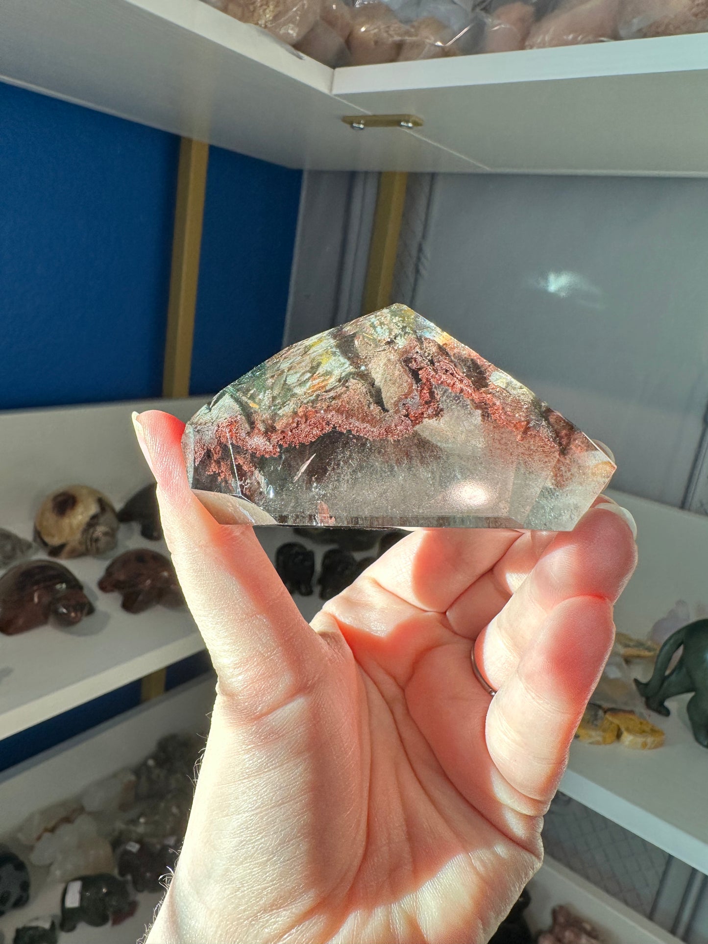 Lodolite/Garden Quartz