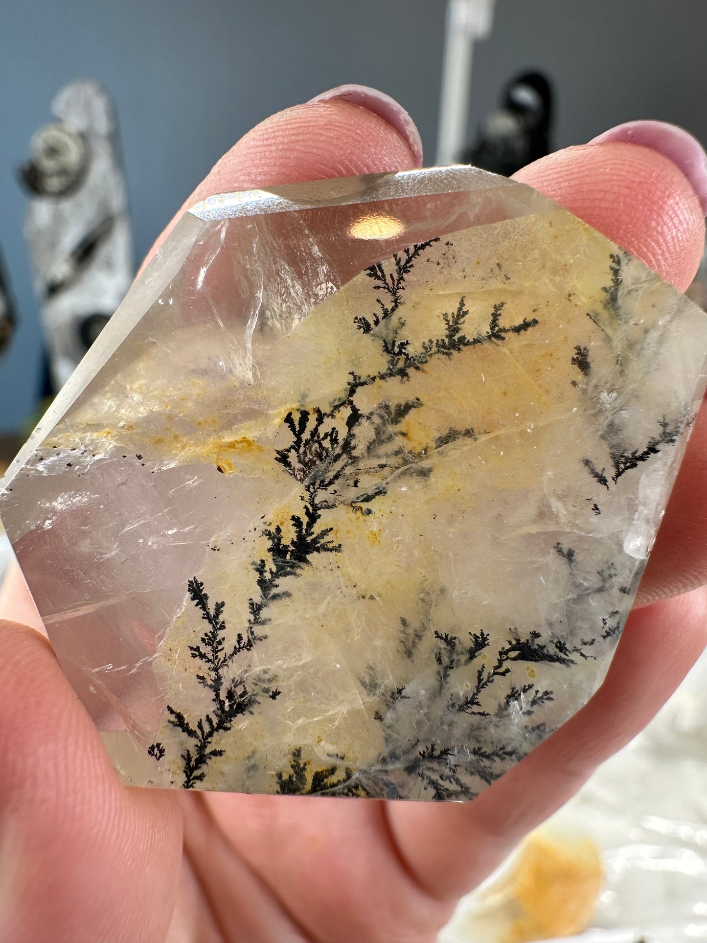 Dendritic Golden Healer Freeform A