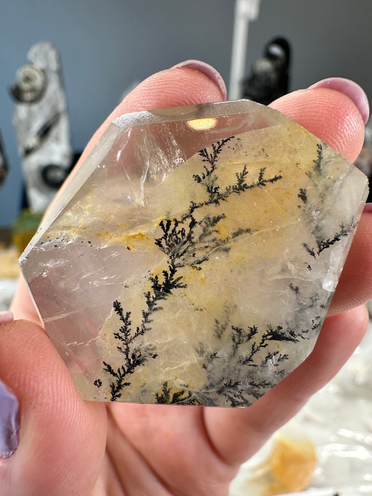 Dendritic Golden Healer Freeform A