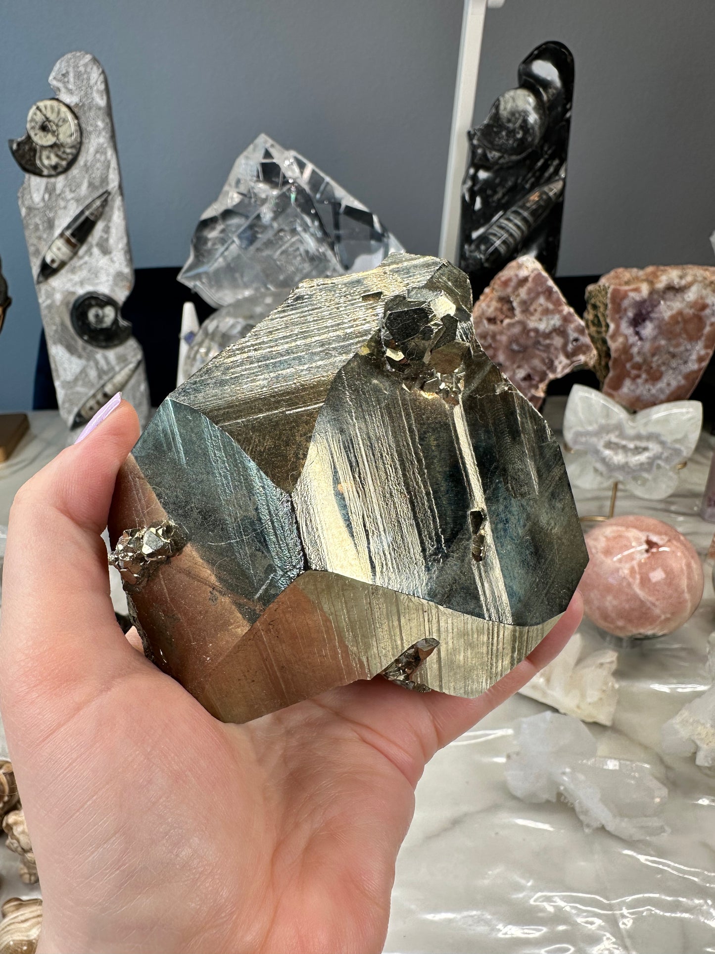 Exceptional Collector Pyrite