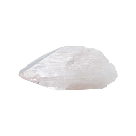 Starborn Natural Danburite Crystal Collector's Corner Specimen 313.5ct - 1 Piece