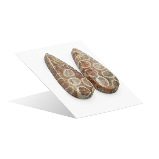 Starborn Fossil Coral Pear Cabochons 28 x 12 mm - 1 Pair