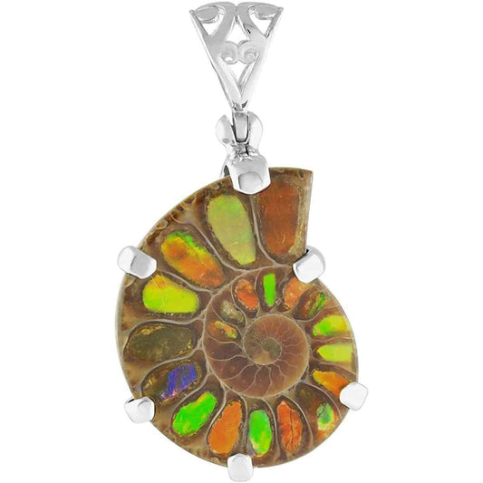 Starborn Sterling Silver Ammonite with Ammolite Inlay, Prong Set Pendant with Filigree Bail