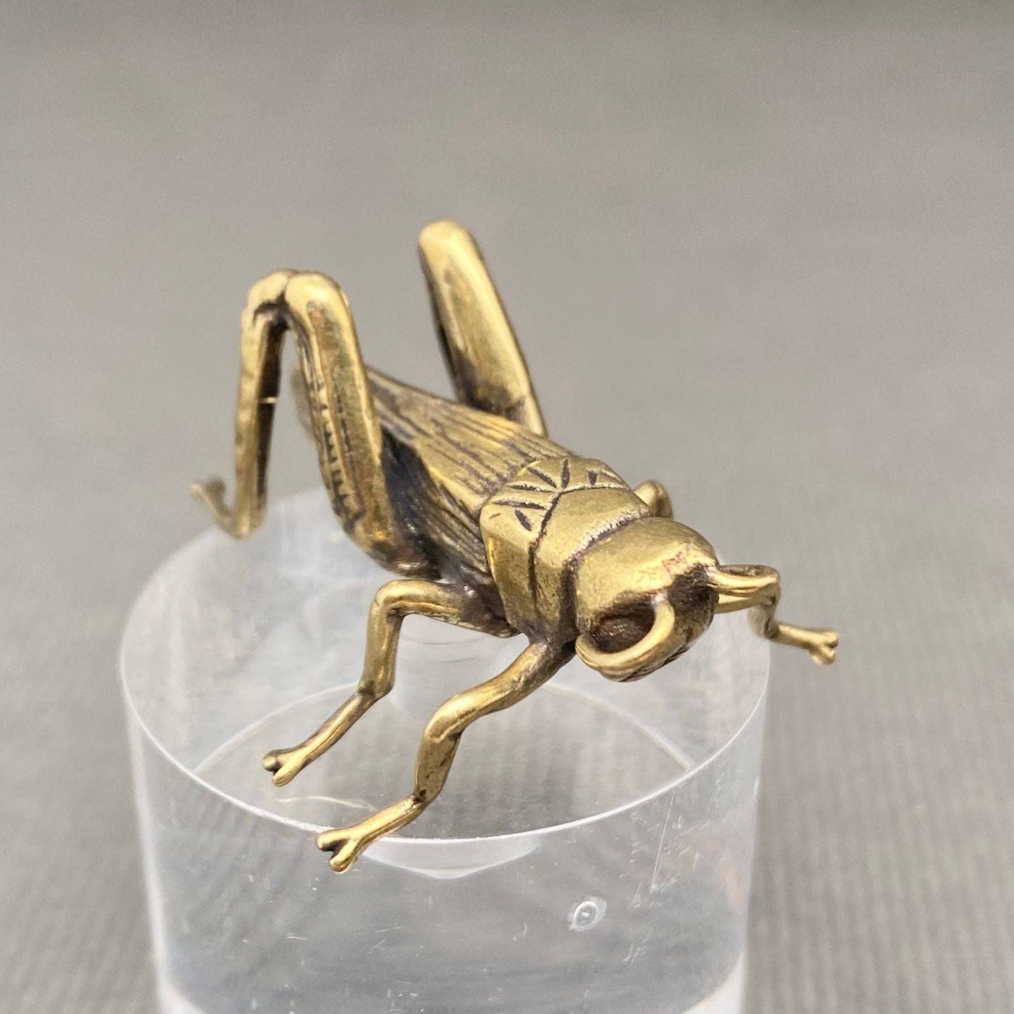 Brass Cricket Desktop Ornaments Decoration