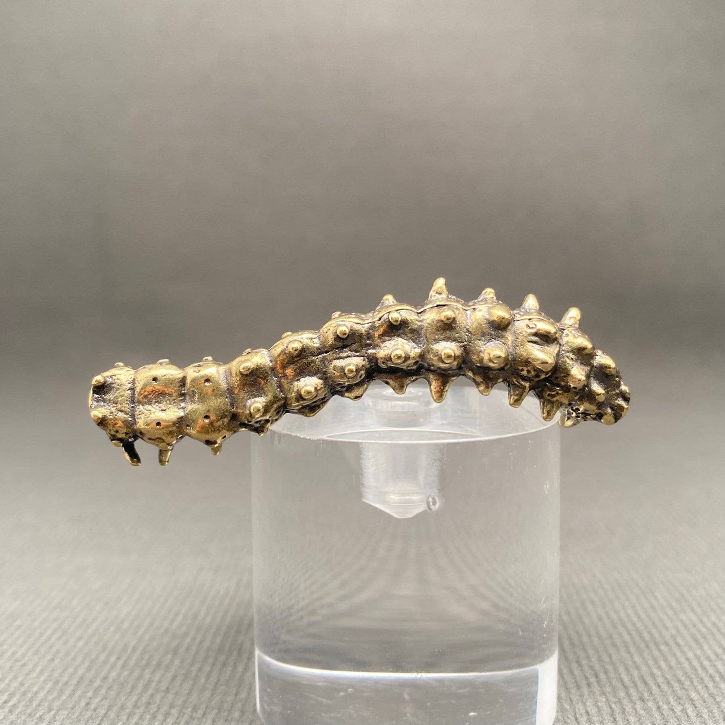 Brass Caterpillar Crafts Desktop Ornaments Decoration