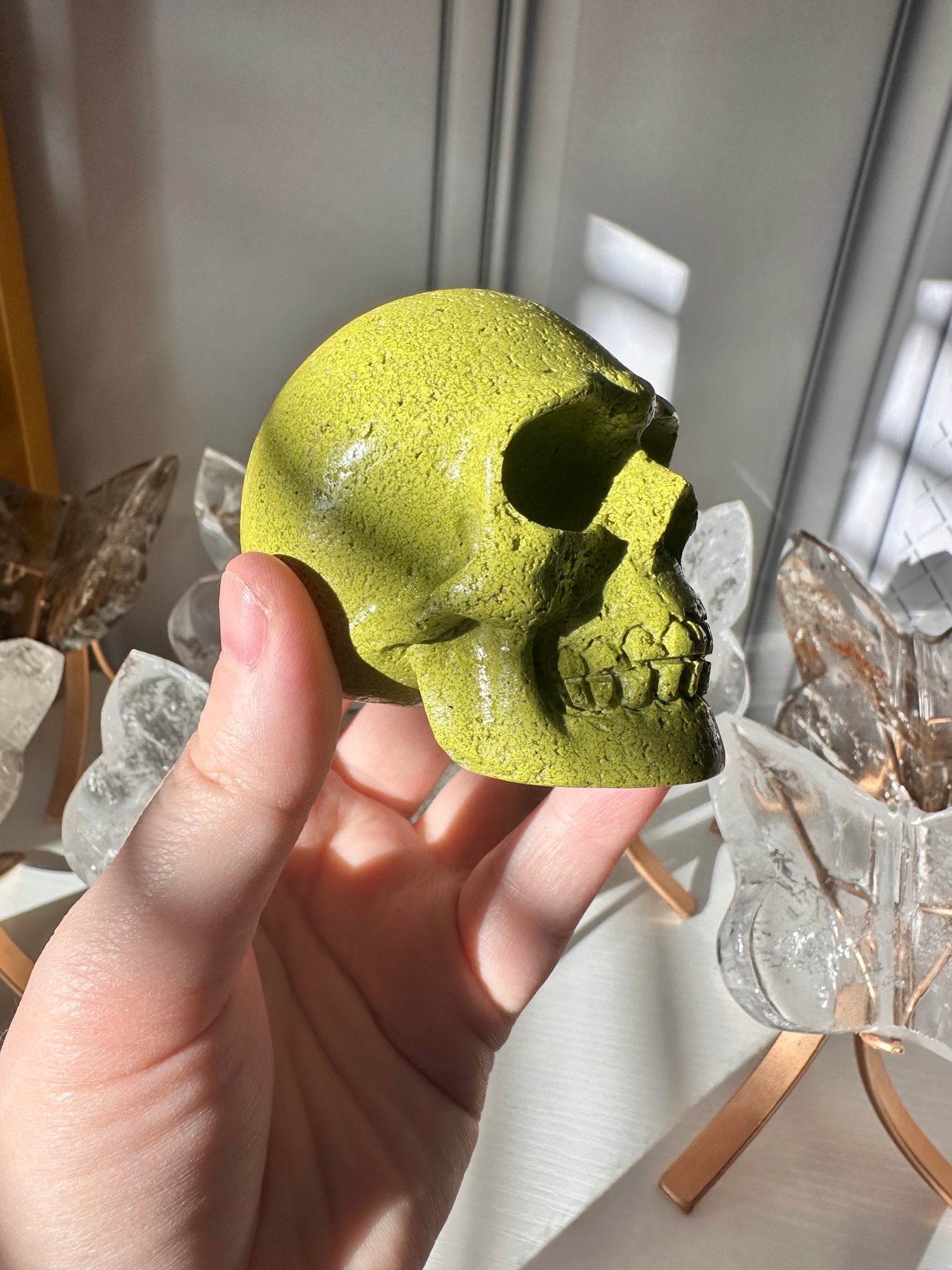 Skulls