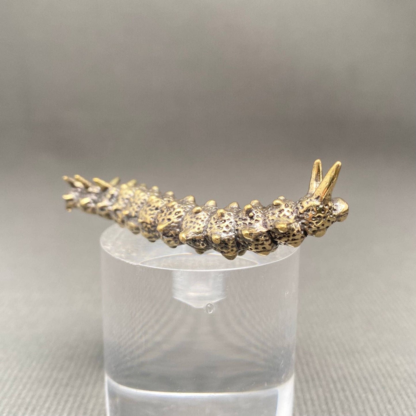 Brass Caterpillar Crafts Desktop Ornaments Decoration