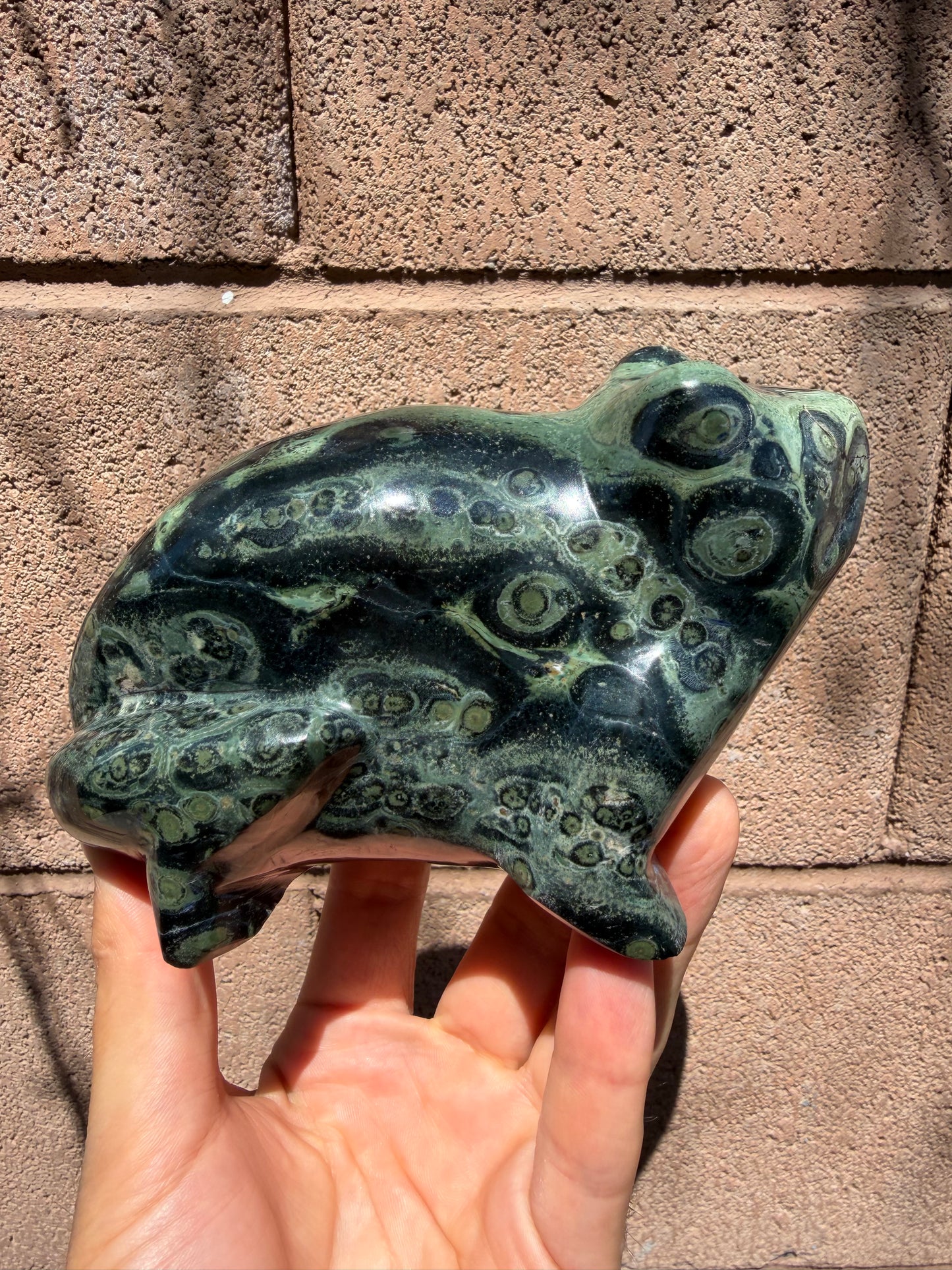 Kambaba Jasper Frog