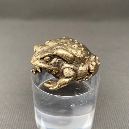 Brass Toad Crafts Decoration Desktop Ornaments