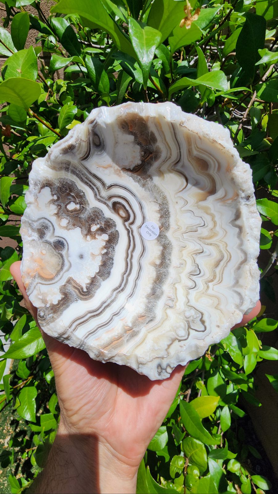 Banded Calcite Bowl i
