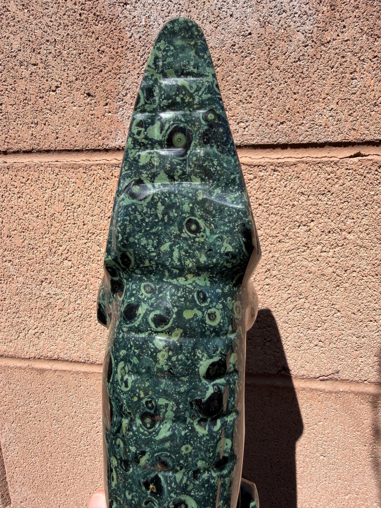 Kambaba Jasper Crocodile